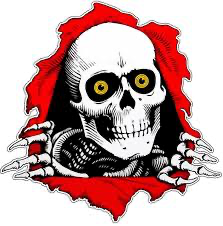 Bones